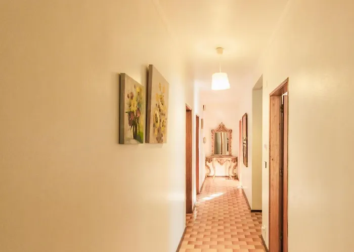 בית הארחה Avenue